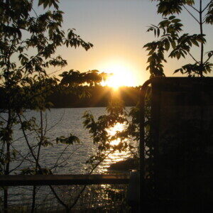 View from the screened dining porch