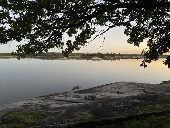 Sunrise over a rocky shoreline on Lake of the Woods